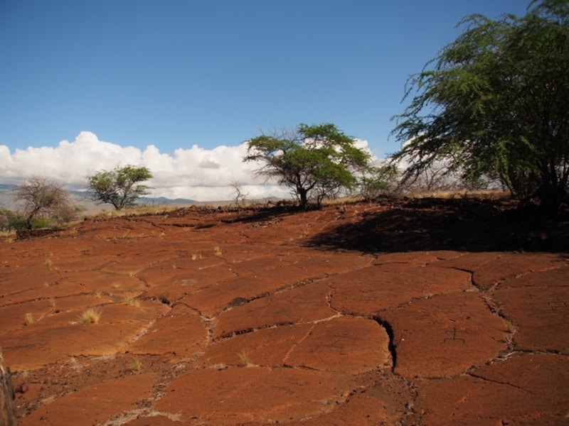 プアコ・ペトログリフ考古学保護地区