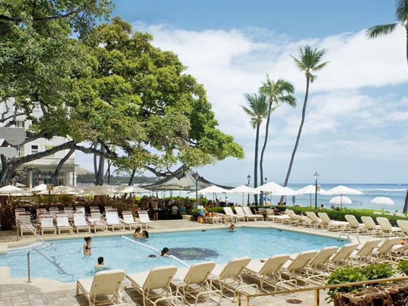 1904年に植樹されたバニヤンツリーが枝を広げる中庭