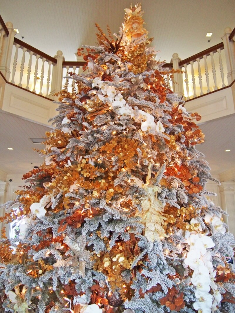 吹き抜けの2階まで届くモアナ・サーフライダーのツリー