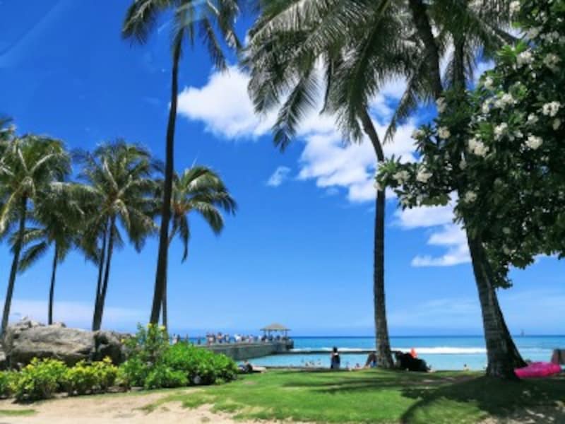 車内から素敵な景色が見えても、運転手がカメラ等で撮影するのは法律違反