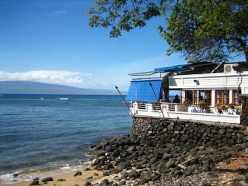 マウイ島ラハイナの海沿いレストランなら、食事をしながらクジラが見れるチャンスも！