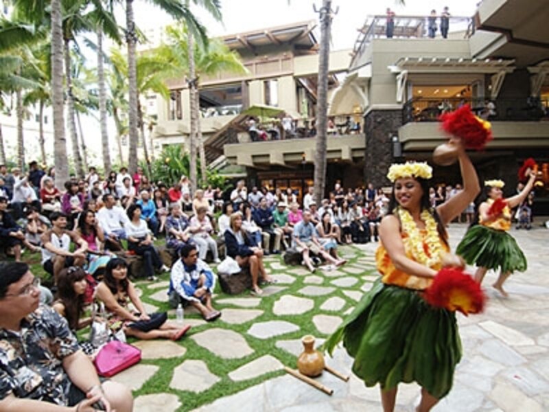 ヤシの木やハワイ固有の植物が茂る広場、ロイヤルグローブで開催