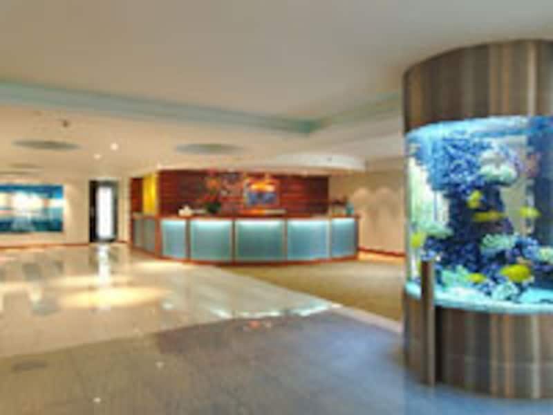 ザ・ワイランド・ワイキキ