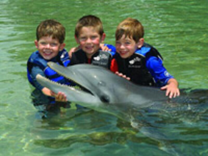 ドルフィン・クエスト