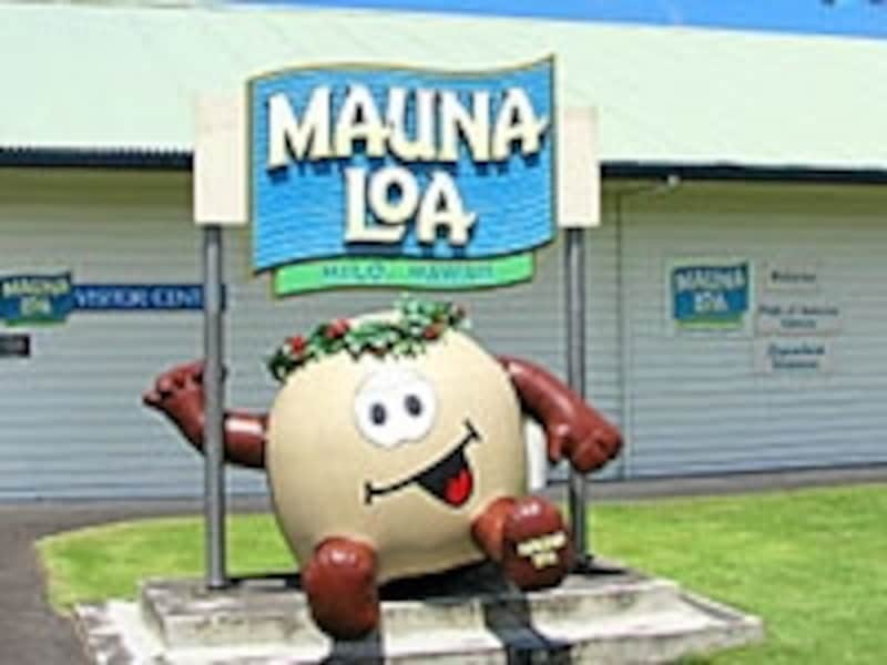 今や生産量世界No.1のハワイ島マウナロア