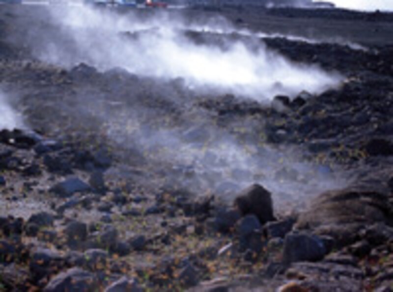 ハレマウマウ・トレイル