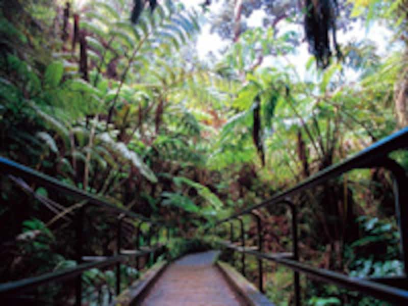 サーストン・ラバ・チューブ