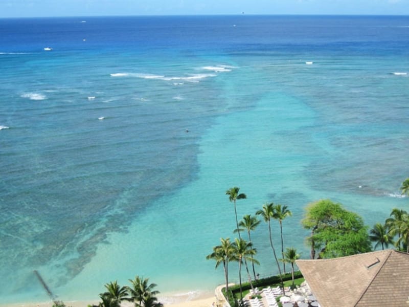 湧き出た真水が海水に流れ込むハレクラニ前の海だけ、サンゴ礁が抜けて淡いブルーに見える（ワイキキ・パーク・ホテルから撮影）