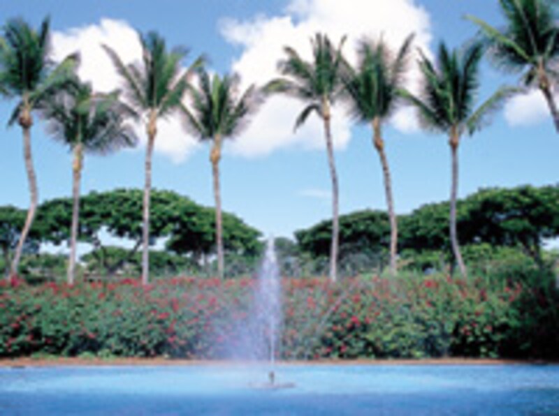 ラナイ島フォーシーズンズ・リゾート・ラナイ・アット・マネレ・ベイ