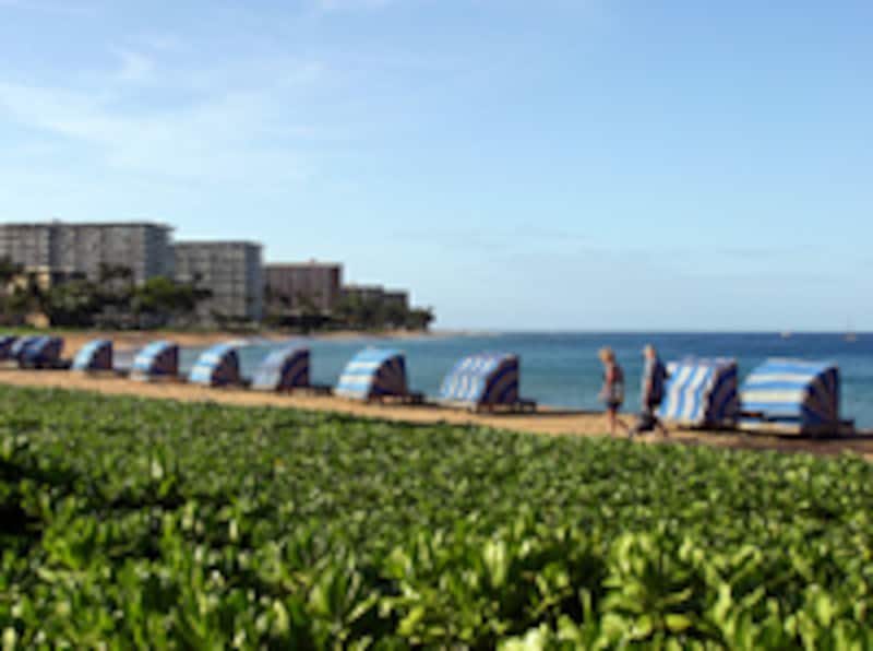 マウイ島カアナパリ