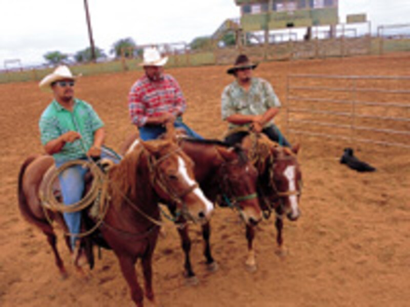 モロカイ島モロカイランチ