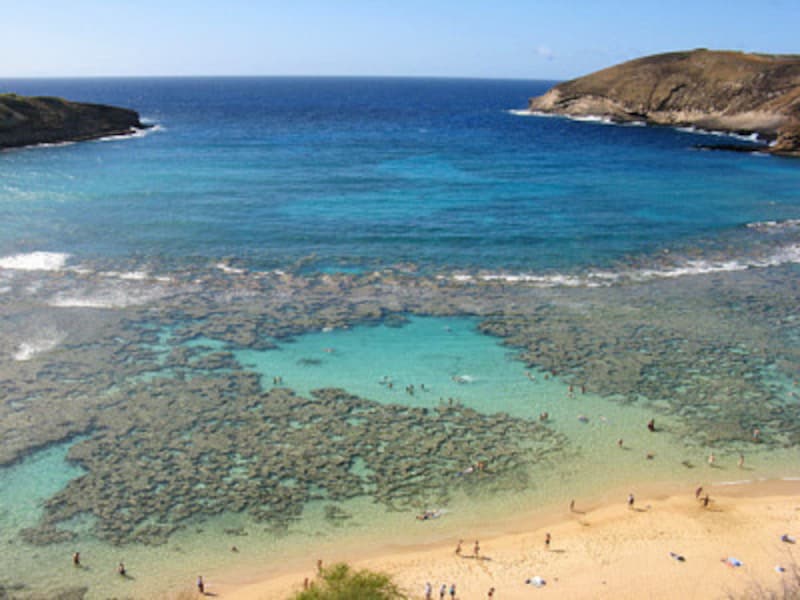 自然保護地区として管理されているハナウマベイ。遠浅の海にはサンゴ礁が広がり、トロピカルフィッシュが泳いでいる