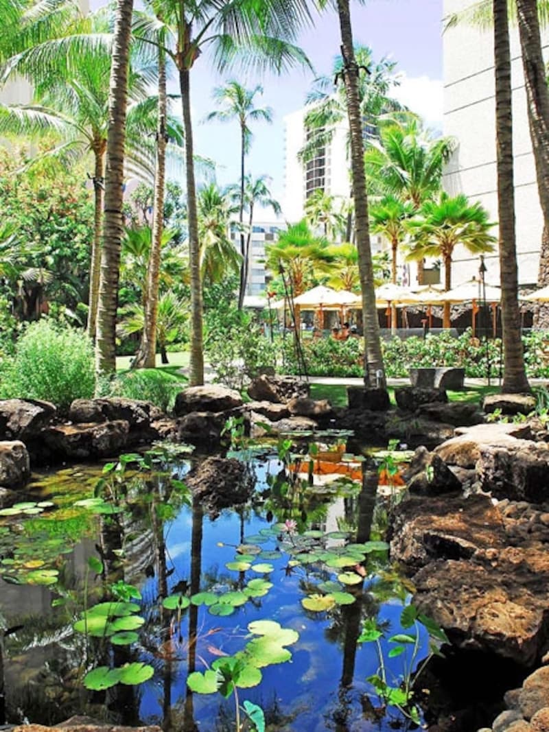 「王家の庭園」という名を持つロイヤル・グローブは、ワイキキのオアシス