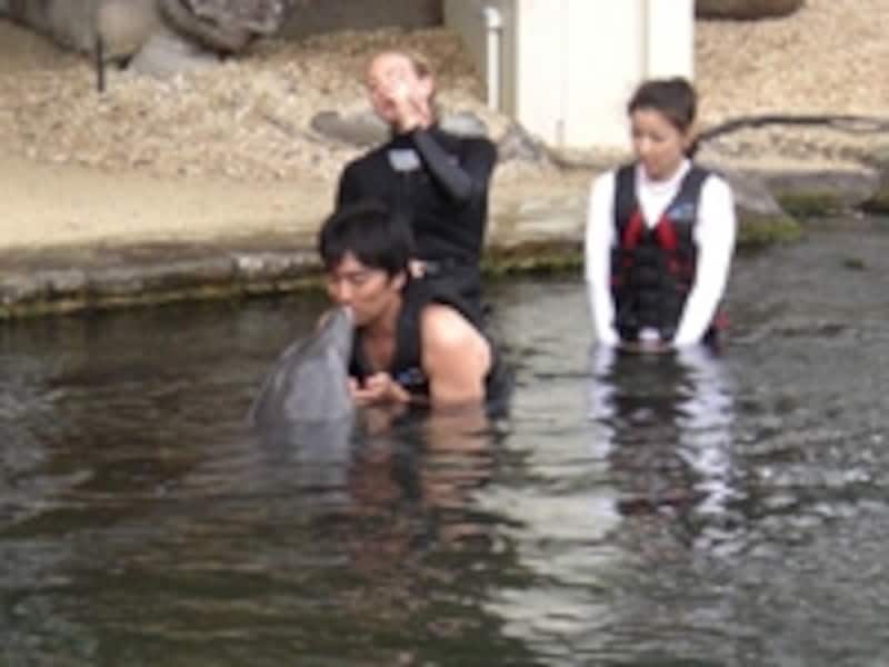 ガイドファミリーも挑戦。イルカと握手やキスも！