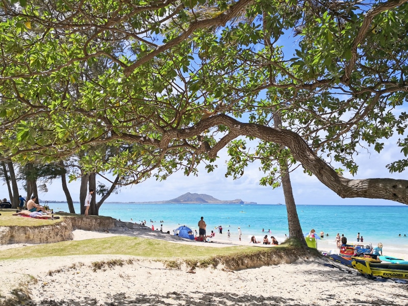 週末は地元ファミリーで賑わう。カヤックを楽しむ人も