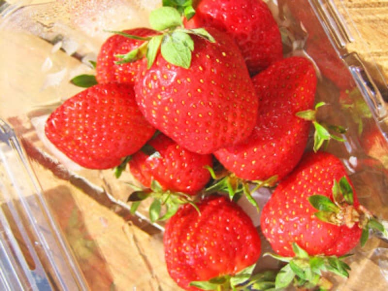 マウイ島クラの朝晩の寒暖差がじっくりと甘く育てる