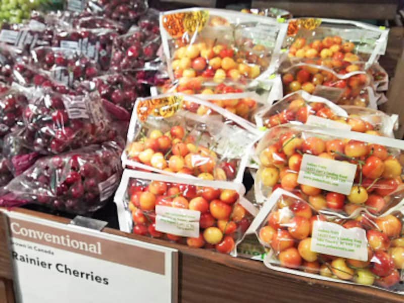 1ポンド（435グラム）8ドルほどと高級品のレイニアチェリー（右）日本ではなかなか手に入らないレアなフルーツ