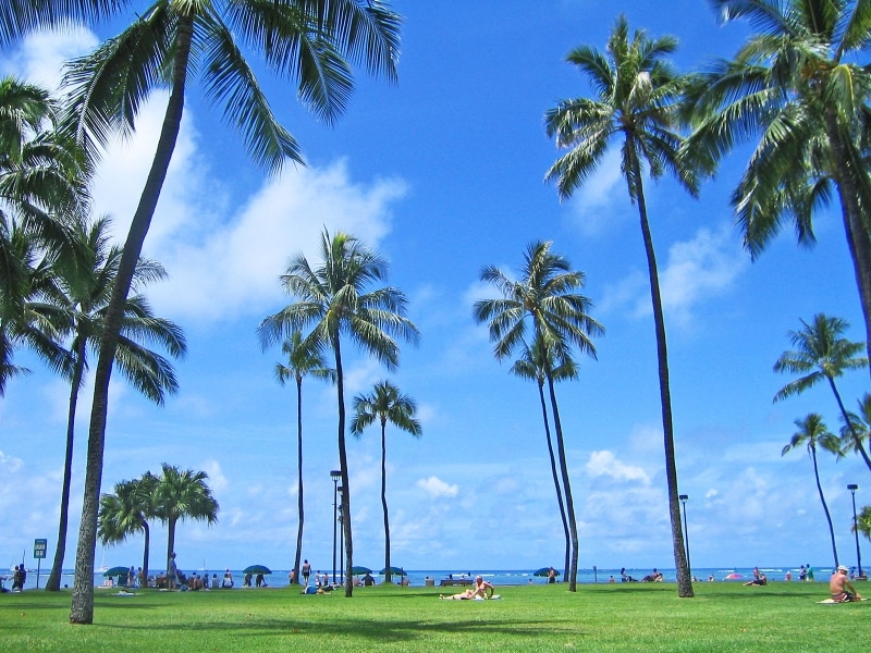 週末には地元の人々がバーベキューを楽しむフォート・デルッシー