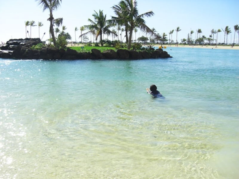 ヒルトン側から見たラグーン。カヤック、足こぎボート、スタンドアップパドル等をレンタルして遊ぶこともできる