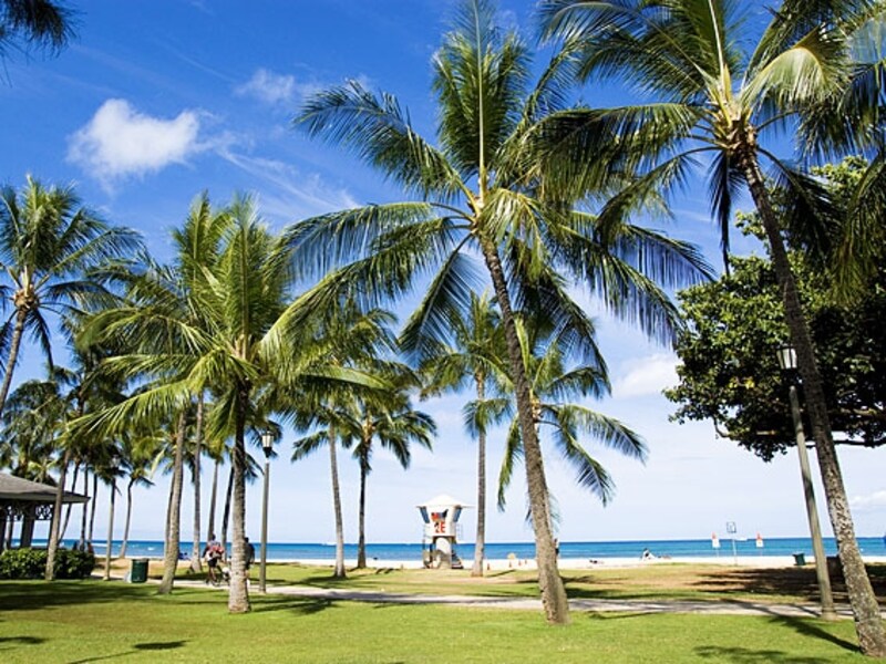 カラカウア通りからのアクセスも良好なカピオラニ・ビーチパーク。シャワー＆トイレも砂浜すぐにあってとても便利