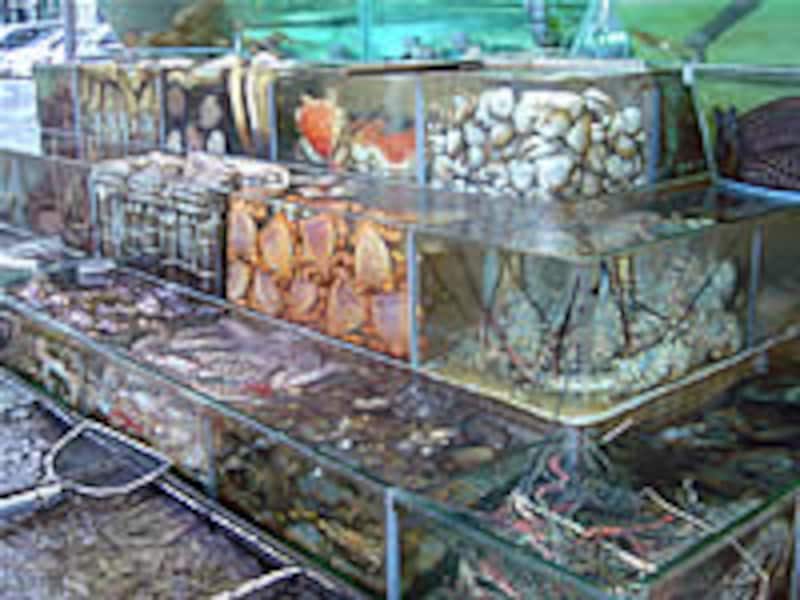 海鮮料理レストランの生け簀