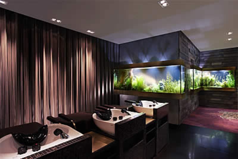 ウォーター・ガーデン