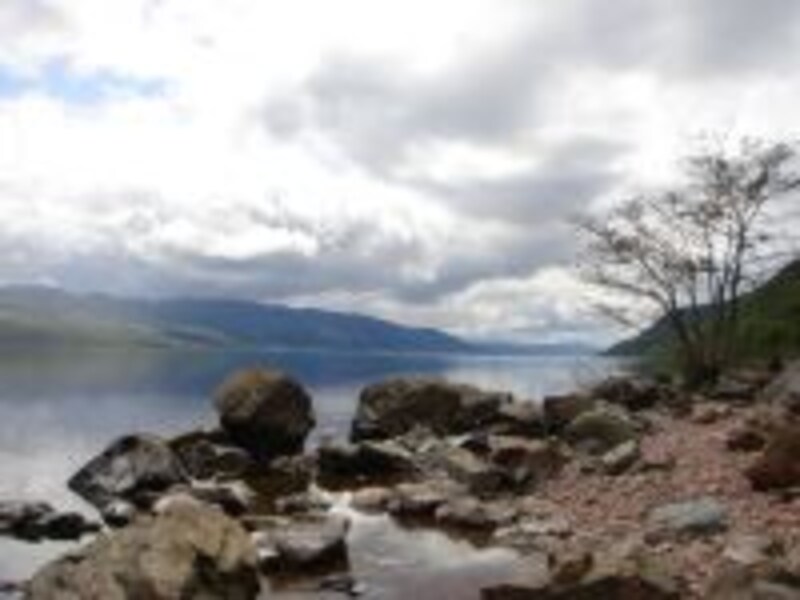 触れるスポット