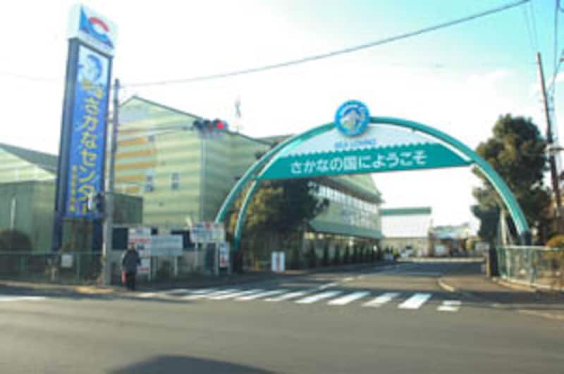 焼津さかなセンター