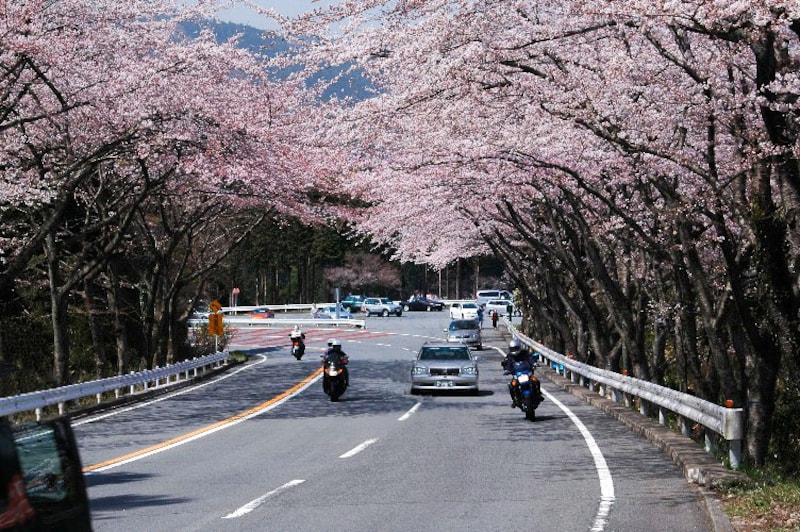 御所ノ入駐車場上