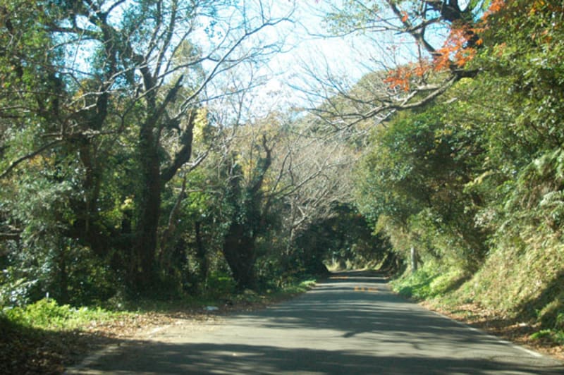 東伊豆の旧道