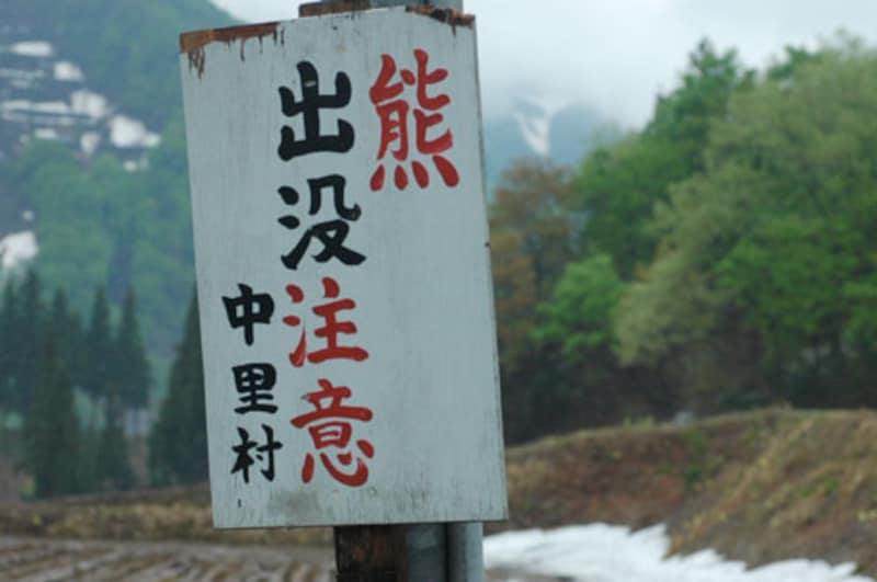 クマ出没の看板