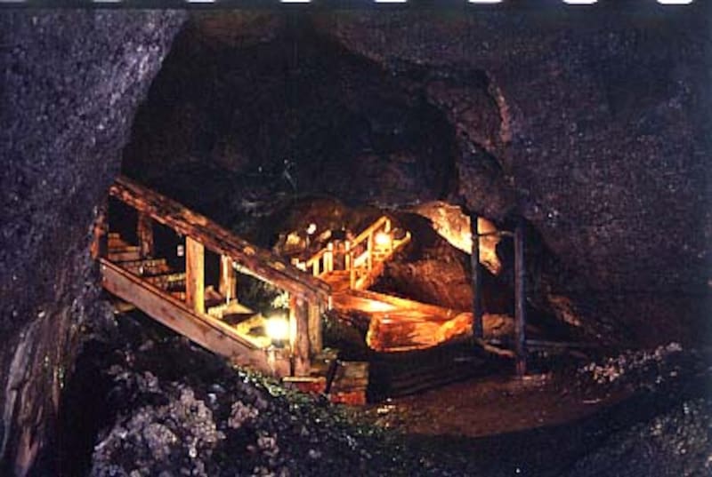 西湖コウモリ穴