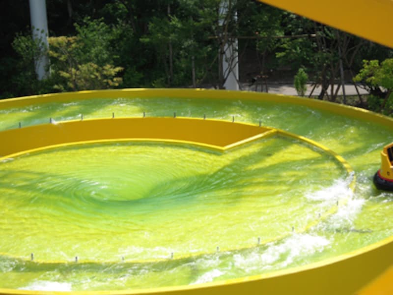 ナガシマスカ上昇中