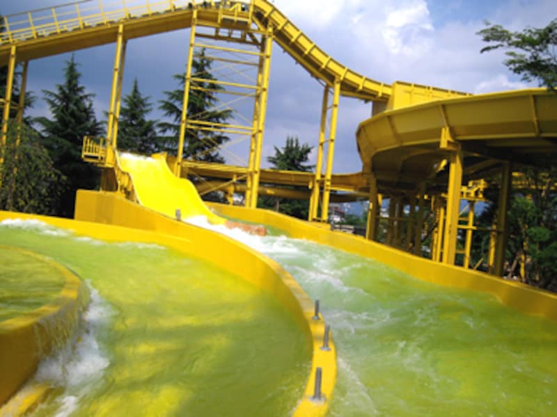 ナガシマスカこぶこぶ