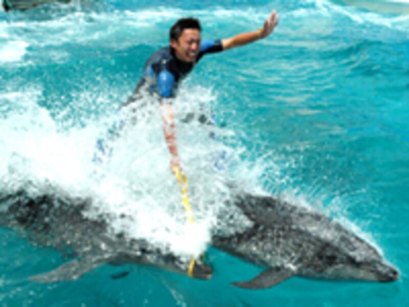 鴨川シーワールド