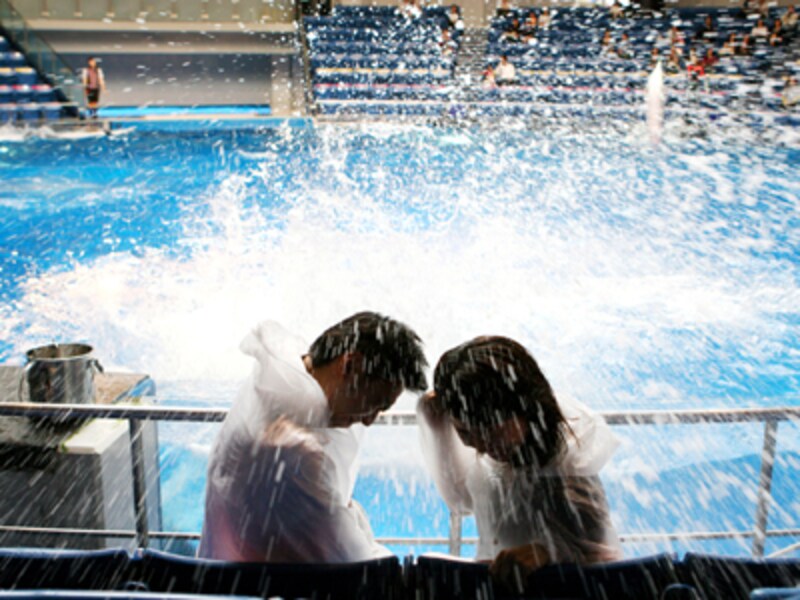 エプソン 品川アクアスタジアム