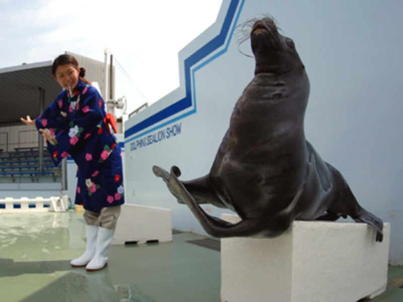 しながわ水族館
