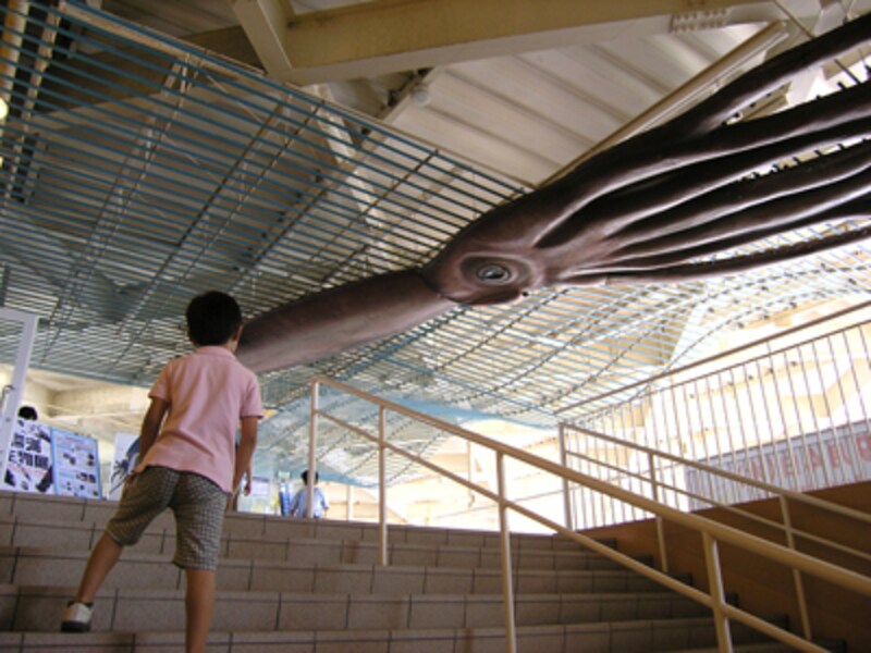 新江ノ島水族館