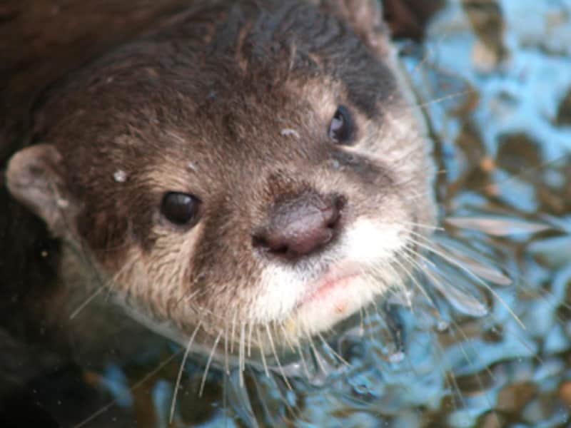 姫路セントラルパーク