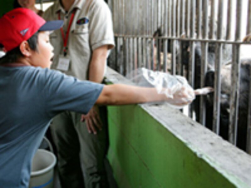 カドリー・ドミニオン