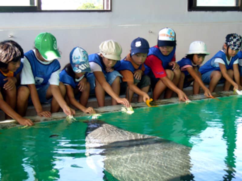 沖縄美ら海水族館