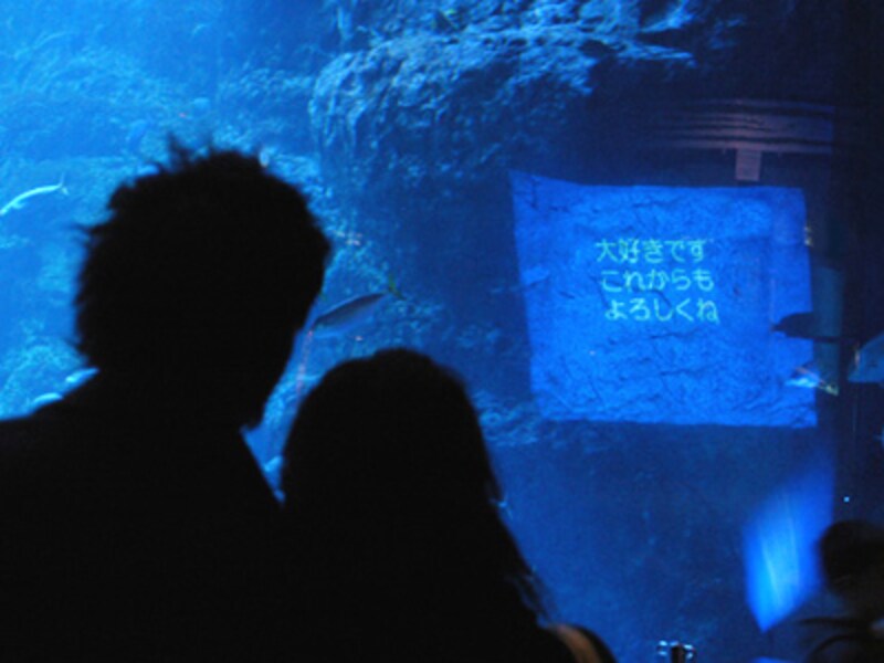 新江ノ島水族館