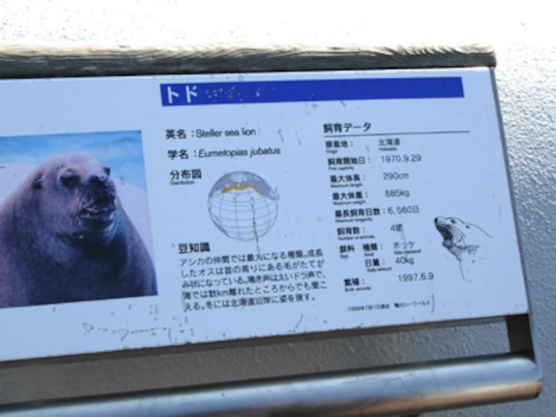 鴨川シーワールドの解説