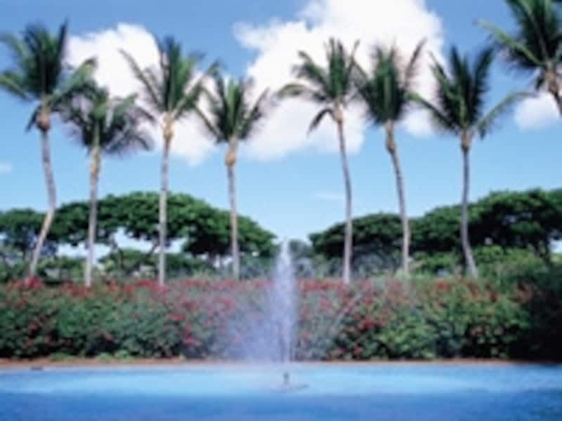 豪華リゾート、フォーシーズンズ・リゾート・ラナイ・アット・マネレ・ベイ（写真協力：ハワイ州観光局）