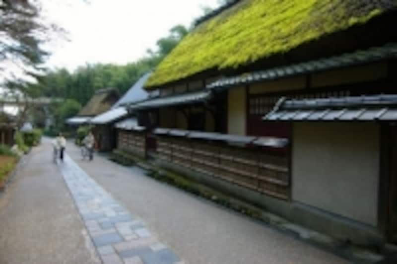 鳥居本には、江戸時代から続く茶店などもあります