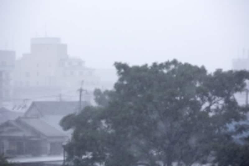 夏は急な雨が増える
