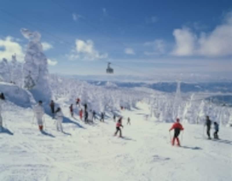スキー・スノーボードはケガなどのリスクがつきもの