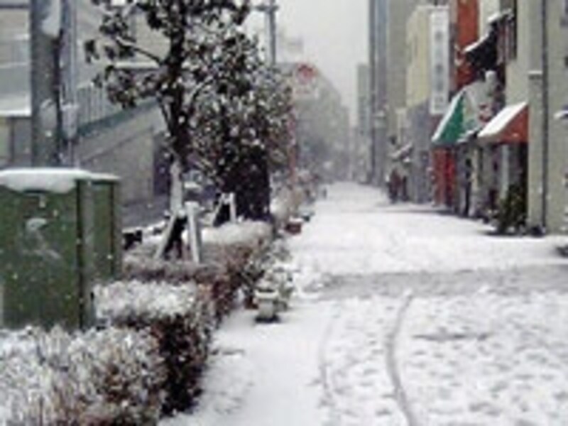 雪の被害が多発!火災保険の内容をもう一度確認しよう