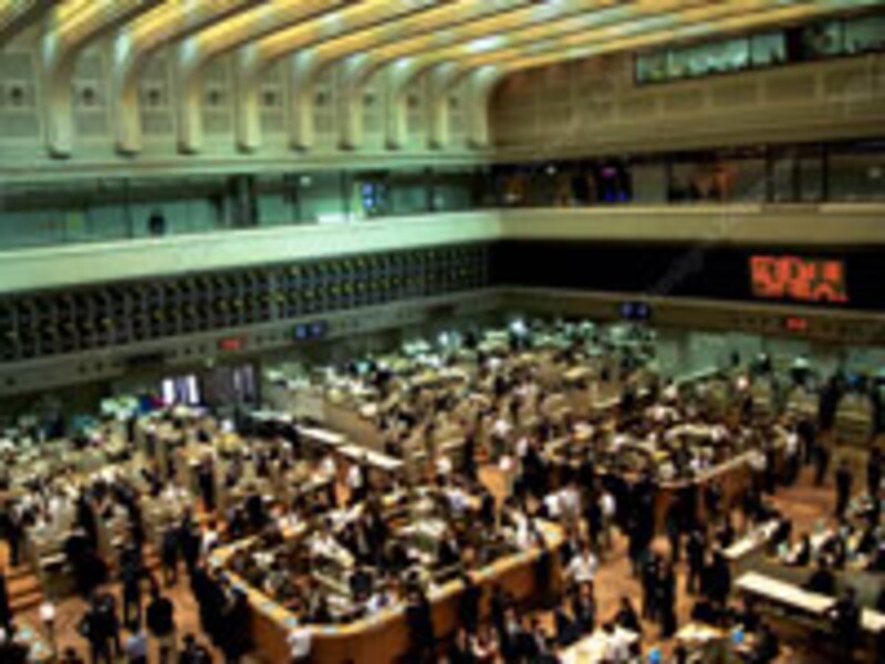 写真のタイトル