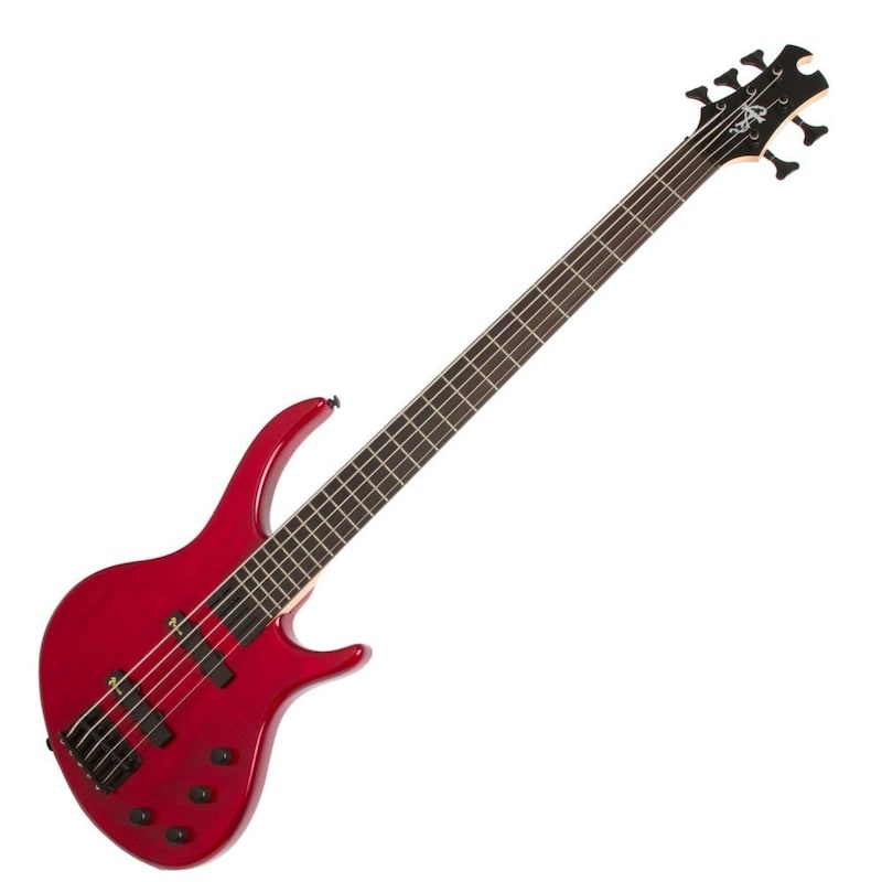 Toby by TOBIAS ,Epiphone Toby Deluxe-V Bass TR 5弦エレキベース